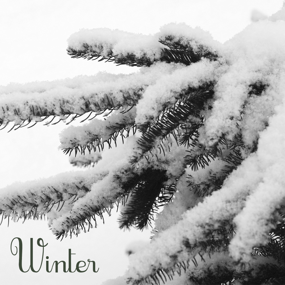 First Day Of Winter Free Download Jakki Jelene